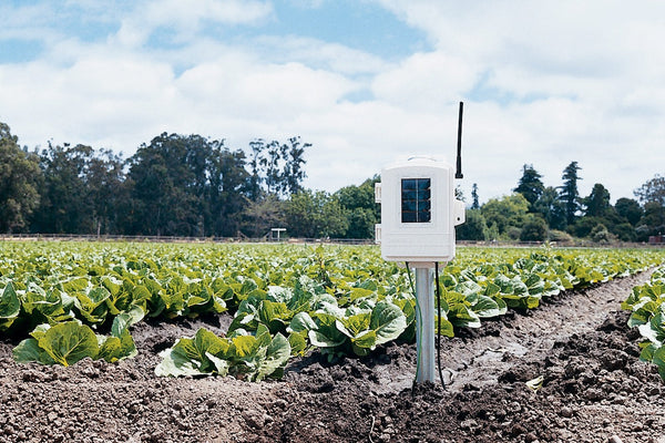 Wireless Leaf & Soil Moisture/Temperature Station - SKU 6345